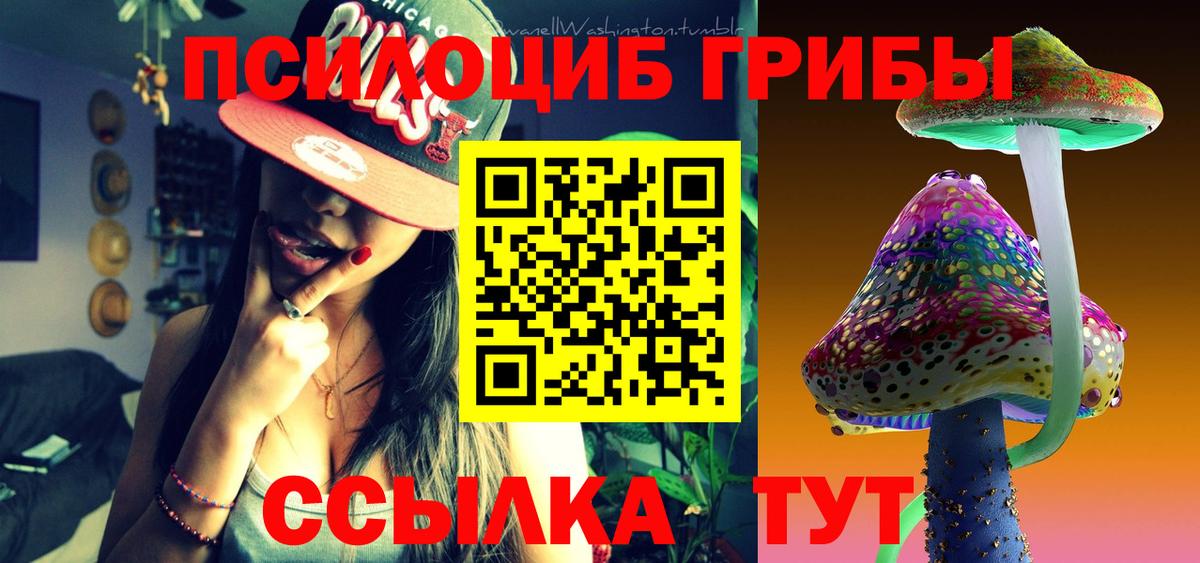 Галлюциногенные грибы Magic Shrooms Нальчик